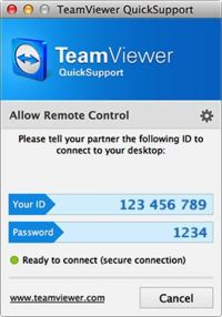 Is teamviewer safe to use